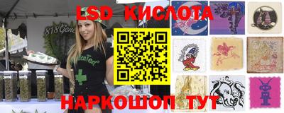 дживик Абинск