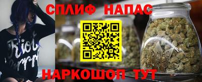 дживик Абинск