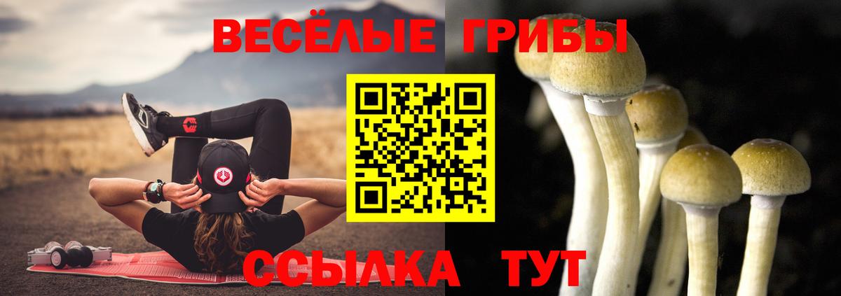 Псилоцибиновые грибы GOLDEN TEACHER Александров